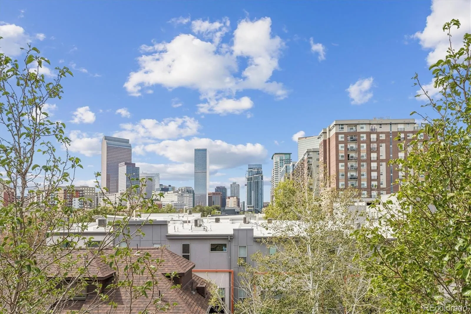 2347 Glenarm Place Denver CO 80205 | MLS #5245260 10212026085651 1600 22