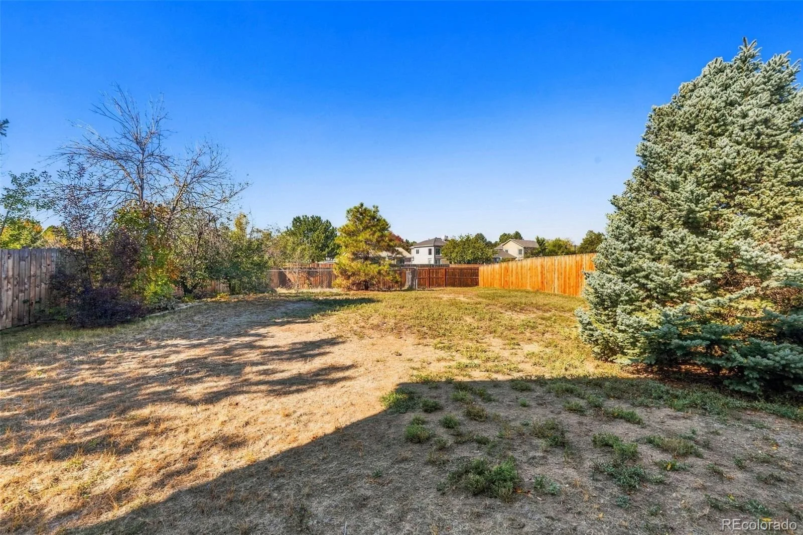 13139 Alcott Place Broomfield CO 80020 | MLS #7932820 10212026200133 1600 19