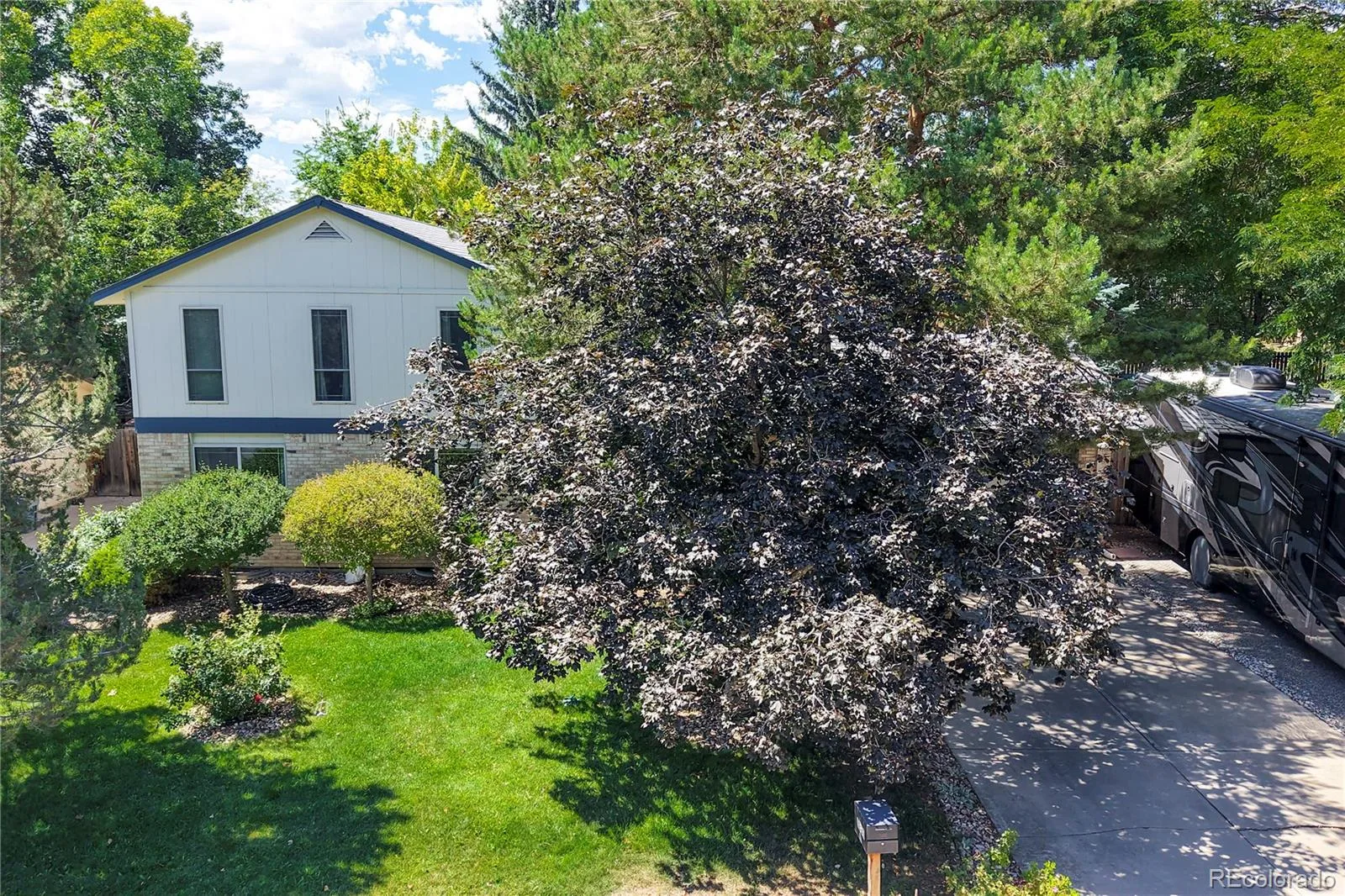 1331 Birch Street Broomfield CO 80020 | MLS #8488227 10212026161407 1600 32