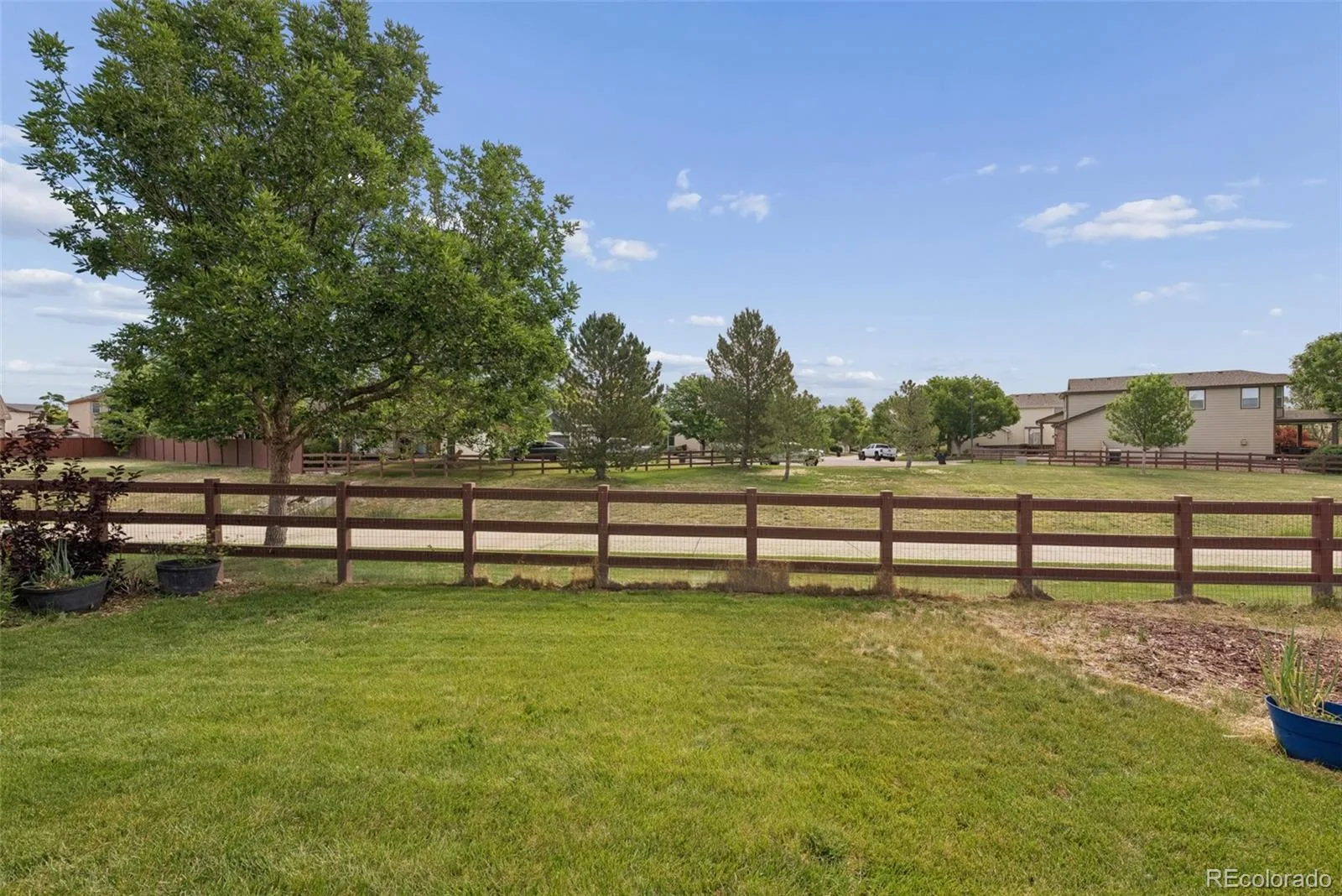 13224 Ivy Court Thornton CO 80602 | MLS #9173195 10212026132844 1600 25