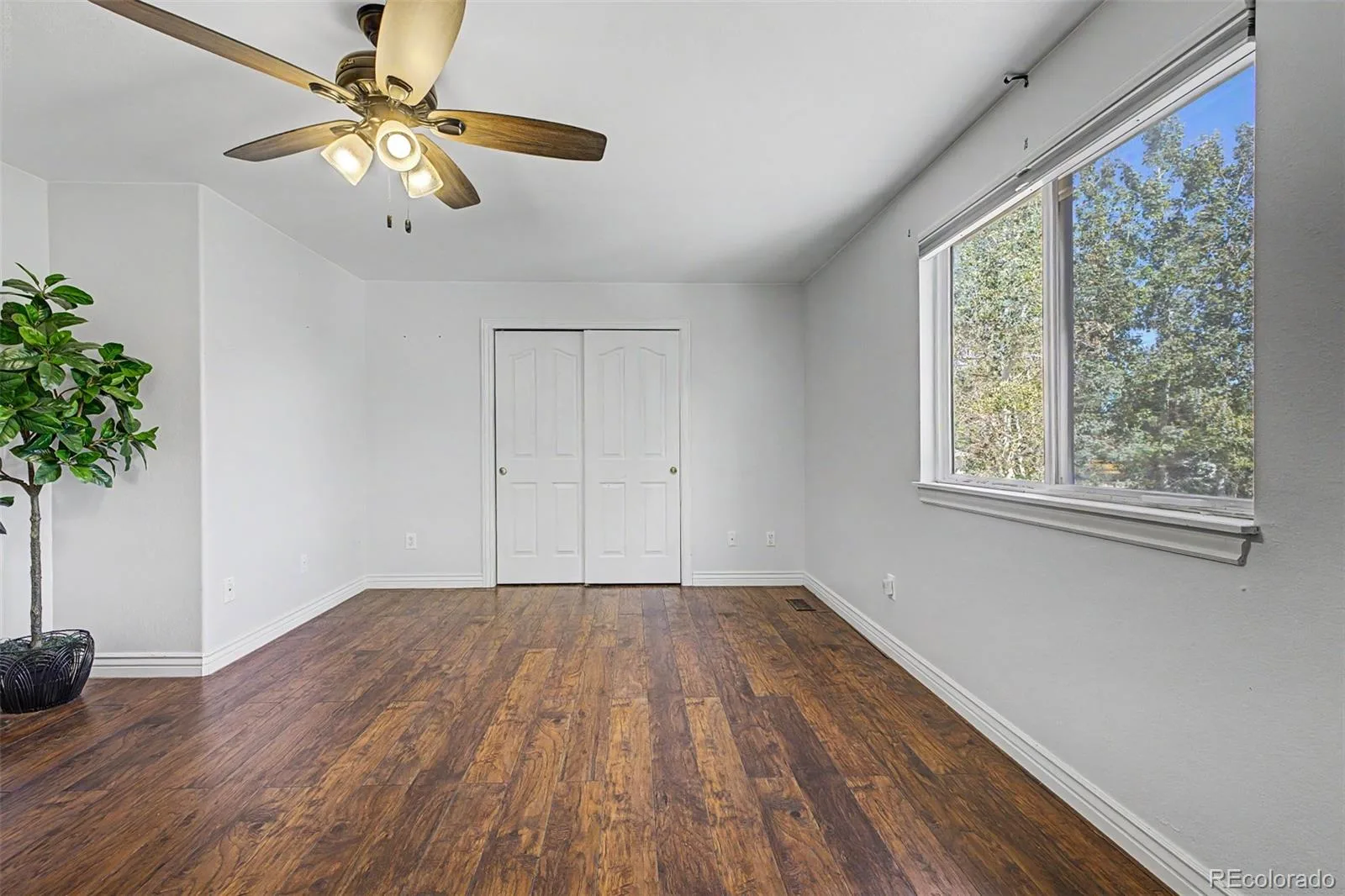 12536 Albion Street Thornton CO 80241 | MLS #9687696 10212026115655 1600 36