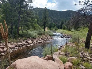 broker reciprocity