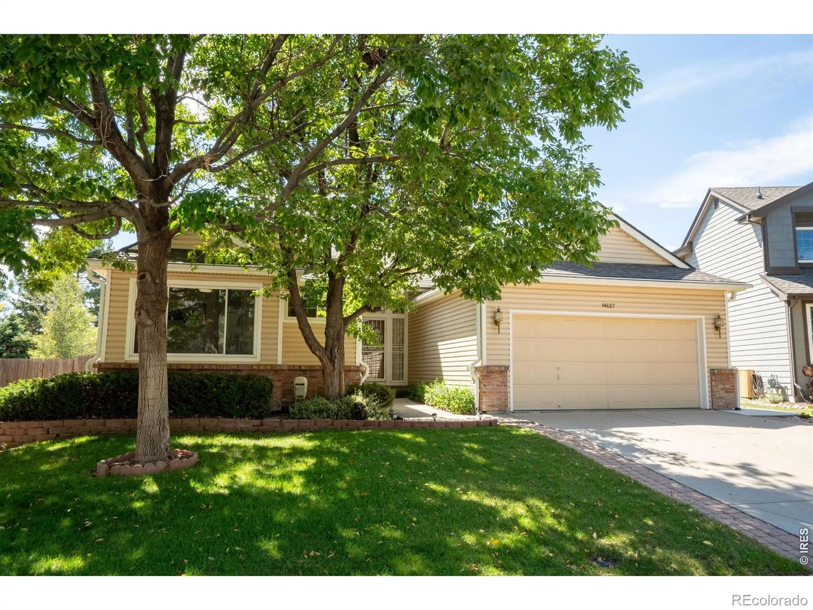 9837 Grove Circle Westminster CO 80031 | MLS #IR1068227 10202026052632 1600 1