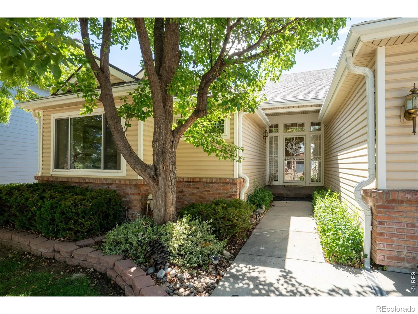 9837 Grove Circle Westminster CO 80031 | MLS #IR1068227 10202026052632 1600 3