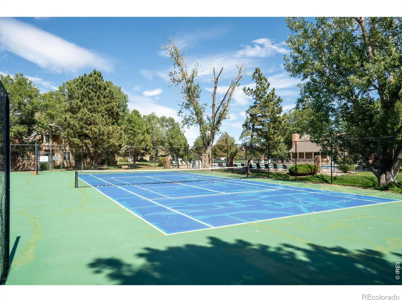 9837 Grove Circle Westminster CO 80031 | MLS #IR1068227 10202026052632 1600 45