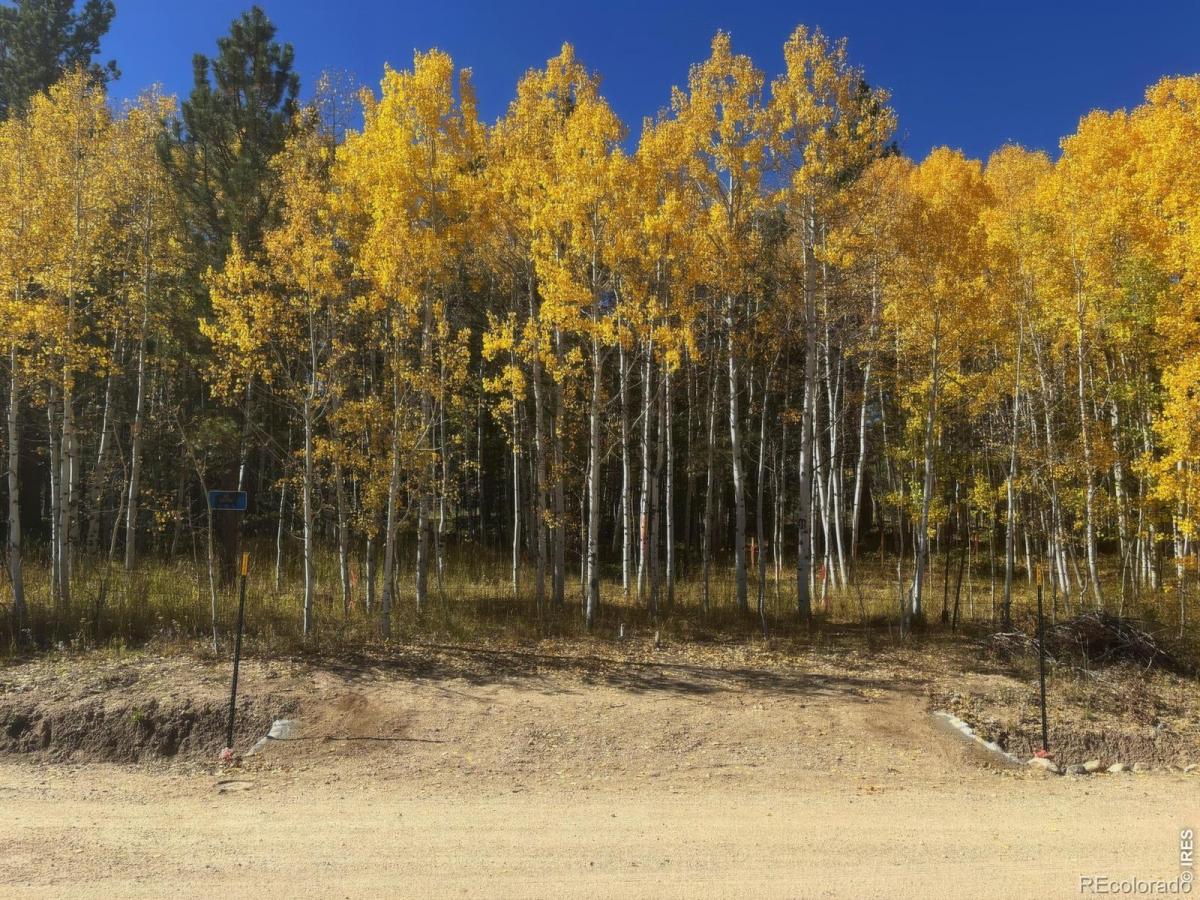 MLS #IR1068739 image #0