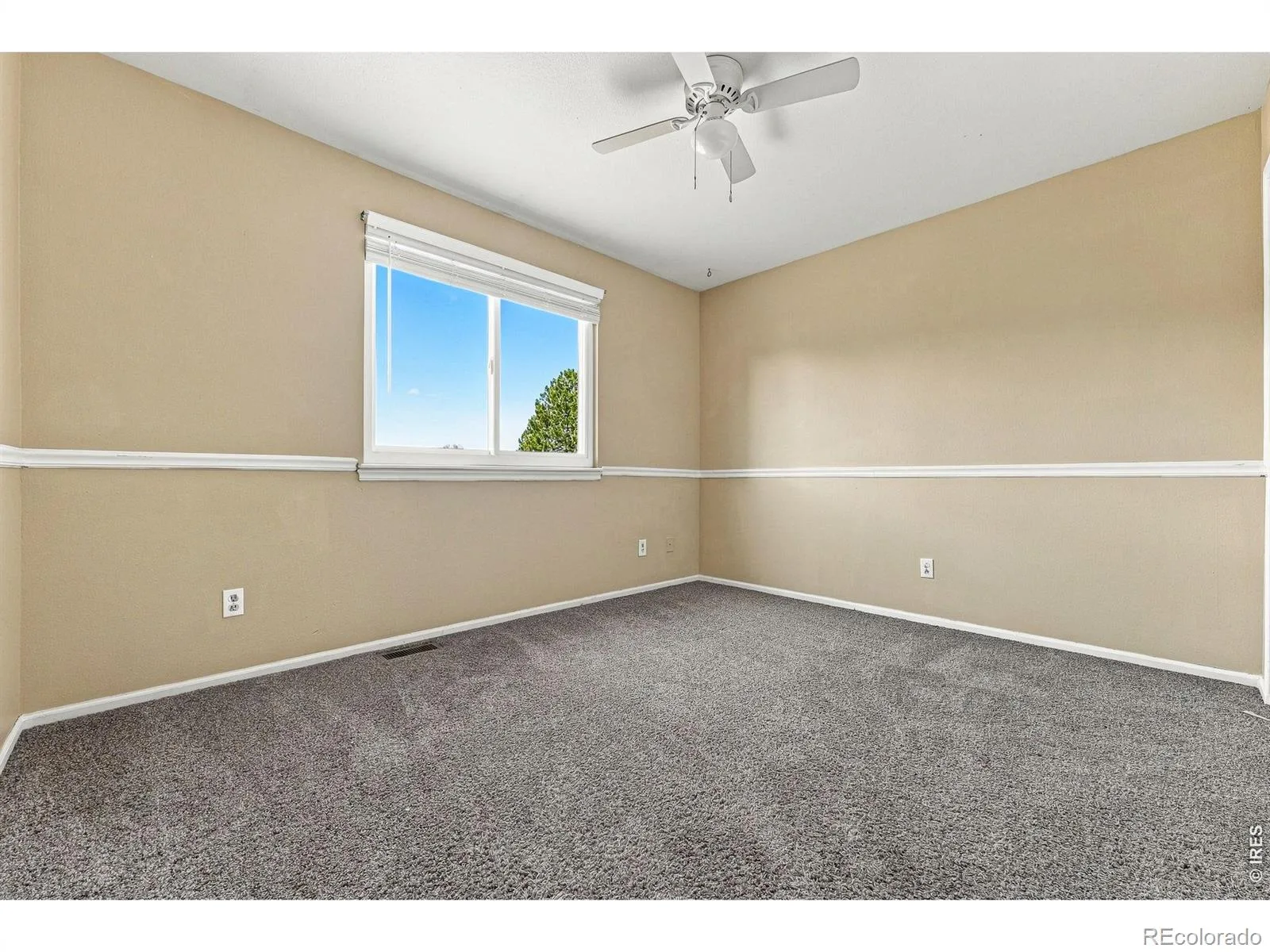 10623 Grove Court Westminster CO 80031 | MLS #IR1069333 10202026091628 1600 24