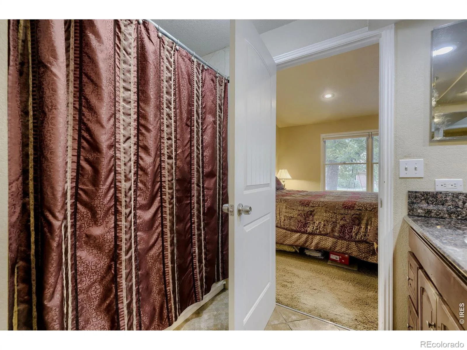 12357 Fillmore Court Thornton CO 80241 | MLS #IR1069357 10202026091407 1600 19
