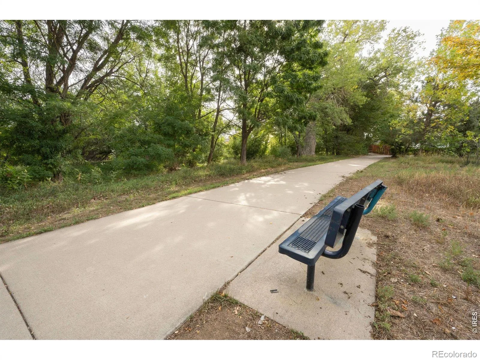 2357 E 116th Place Thornton CO 80233 | MLS #IR1069554 10202026095625 1600 46