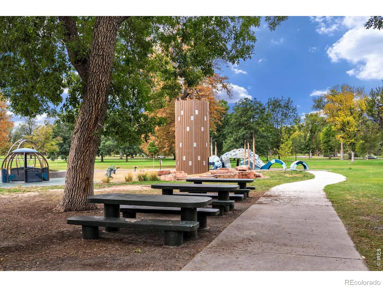 1876 Race Street Denver CO 80206 | MLS #IR1069665 10202026094608 1600 31