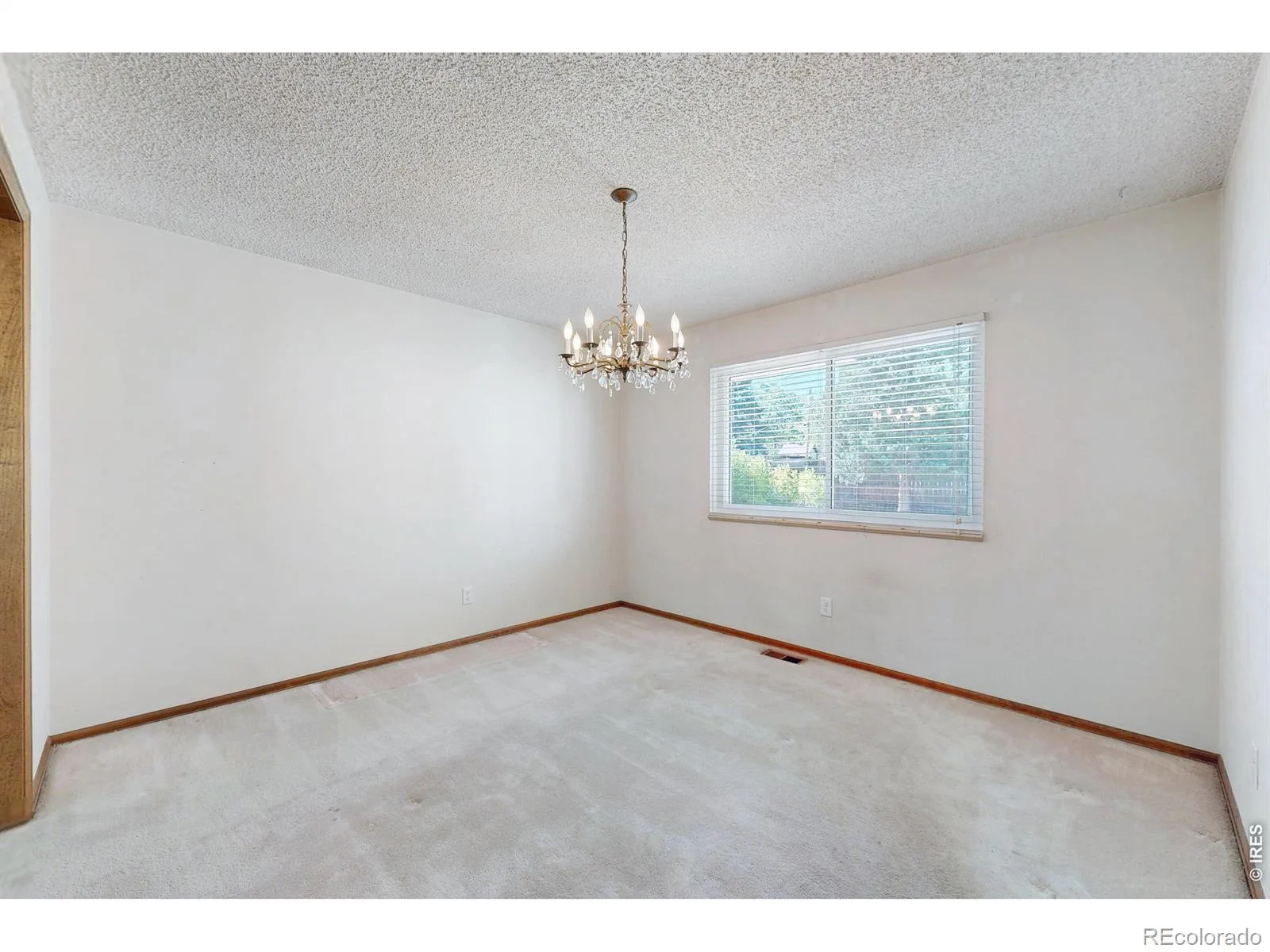 7143 S Platte Canyon Drive Littleton CO 80128 | MLS #IR1070089 10202026113843 1600 15