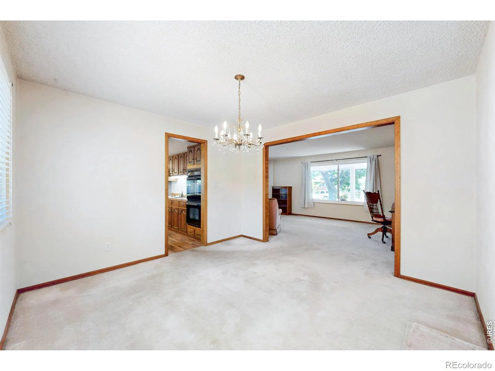 7143 S Platte Canyon Drive Littleton CO 80128 | MLS #IR1070089 10202026113843 1600 16