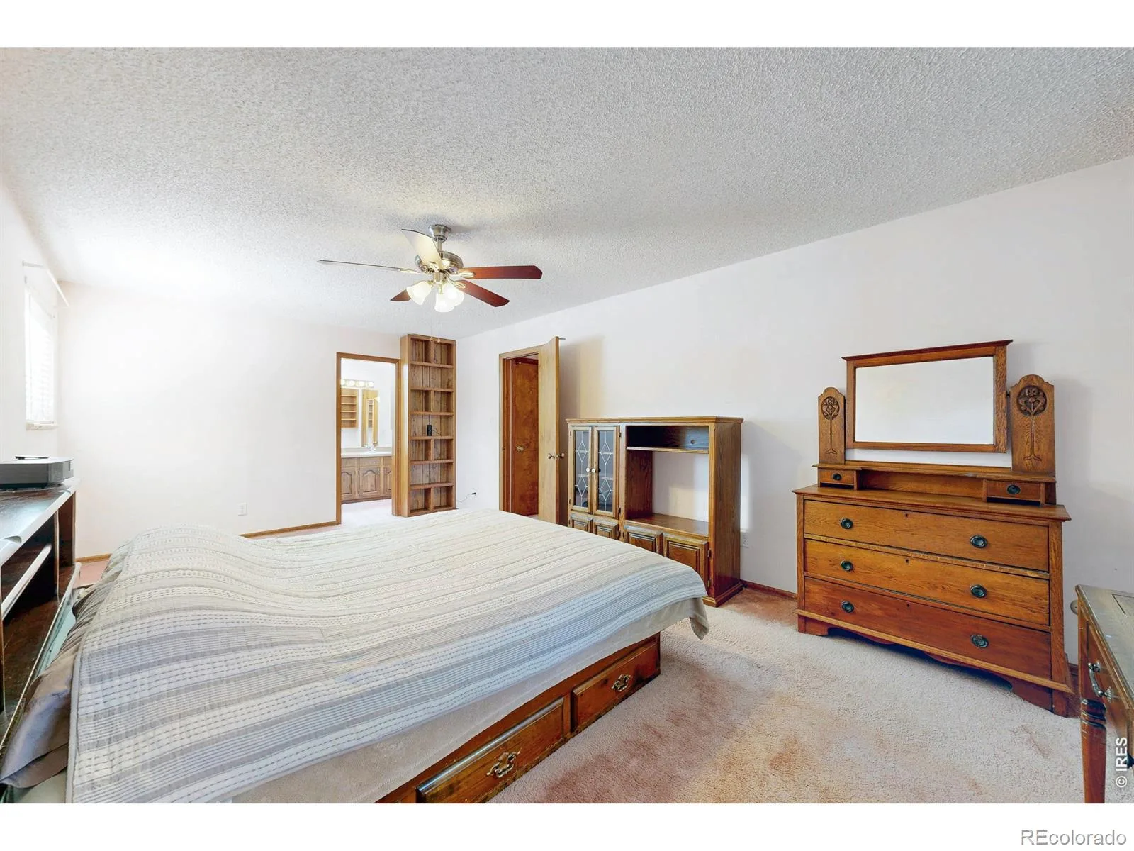 7143 S Platte Canyon Drive Littleton CO 80128 | MLS #IR1070089 10202026113843 1600 20