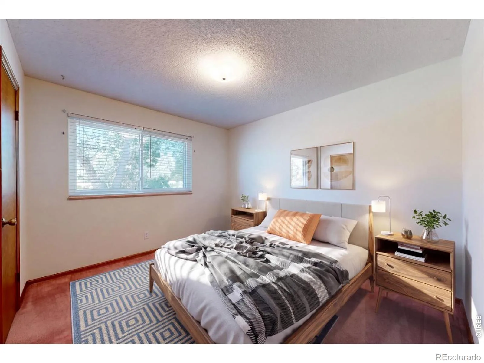 7143 S Platte Canyon Drive Littleton CO 80128 | MLS #IR1070089 10202026113843 1600 27