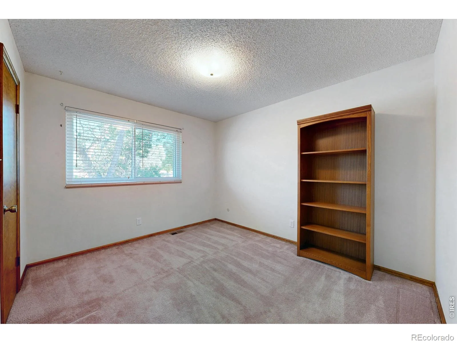 7143 S Platte Canyon Drive Littleton CO 80128 | MLS #IR1070089 10202026113843 1600 28