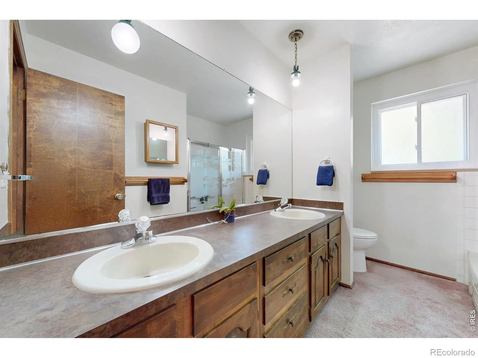 7143 S Platte Canyon Drive Littleton CO 80128 | MLS #IR1070089 10202026113843 1600 31