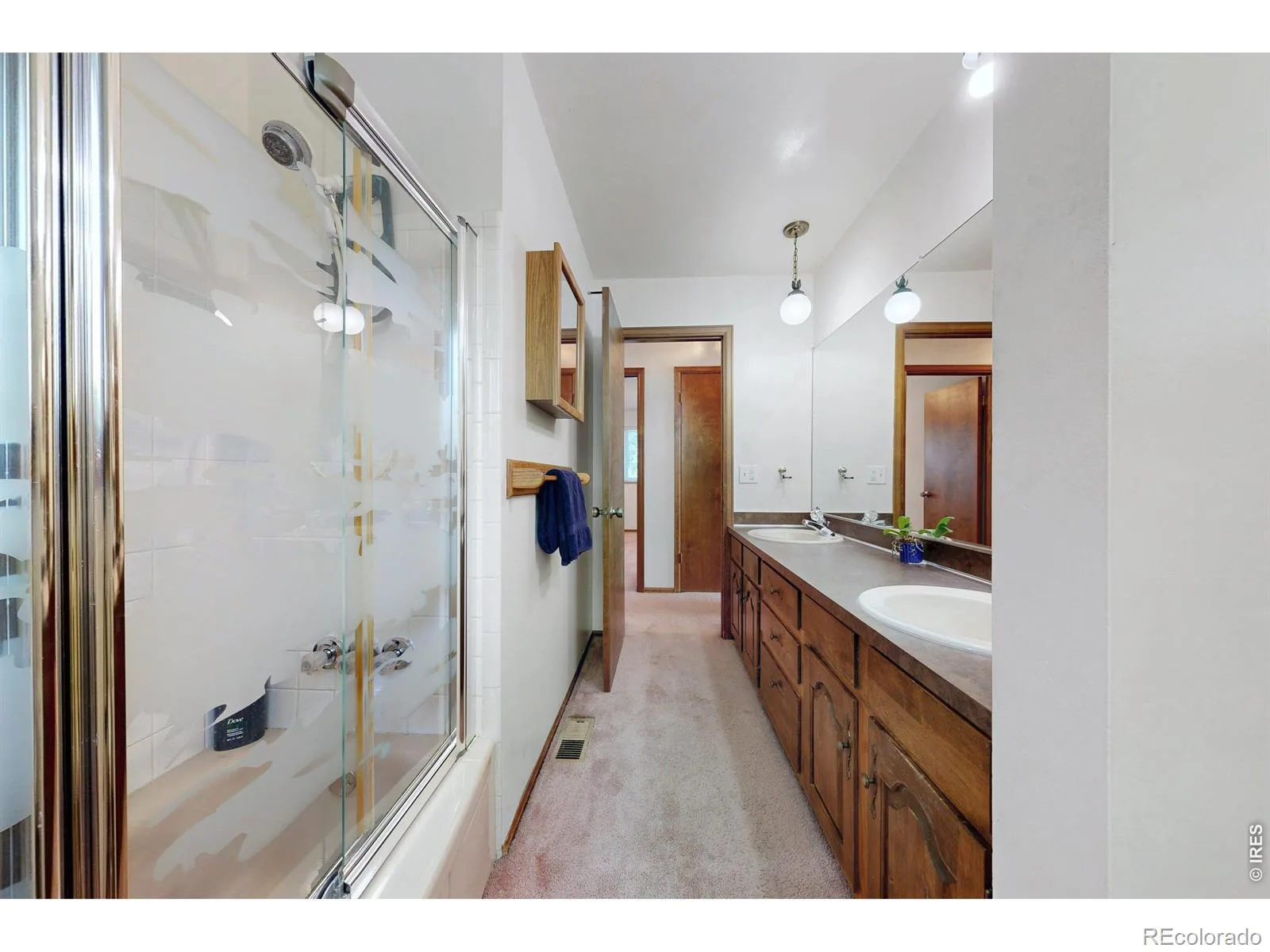 7143 S Platte Canyon Drive Littleton CO 80128 | MLS #IR1070089 10202026113843 1600 32