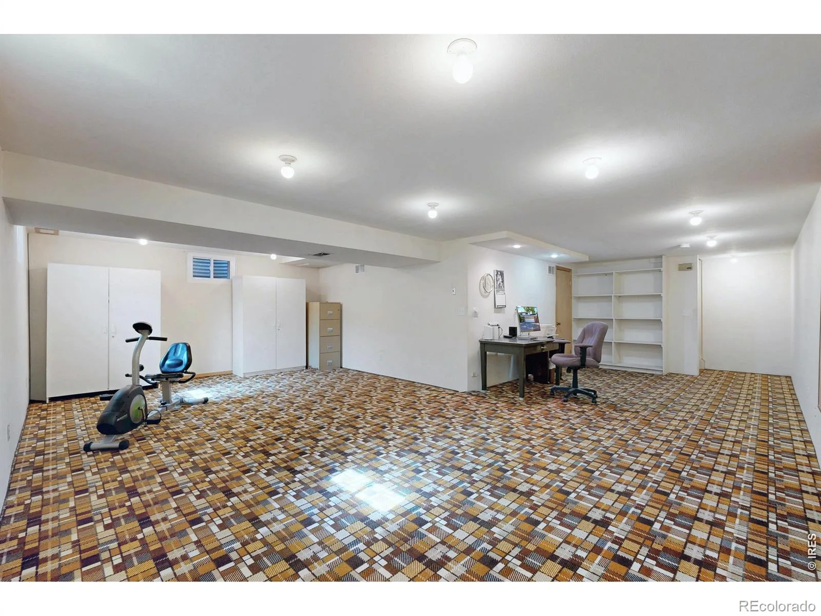 7143 S Platte Canyon Drive Littleton CO 80128 | MLS #IR1070089 10202026113843 1600 34
