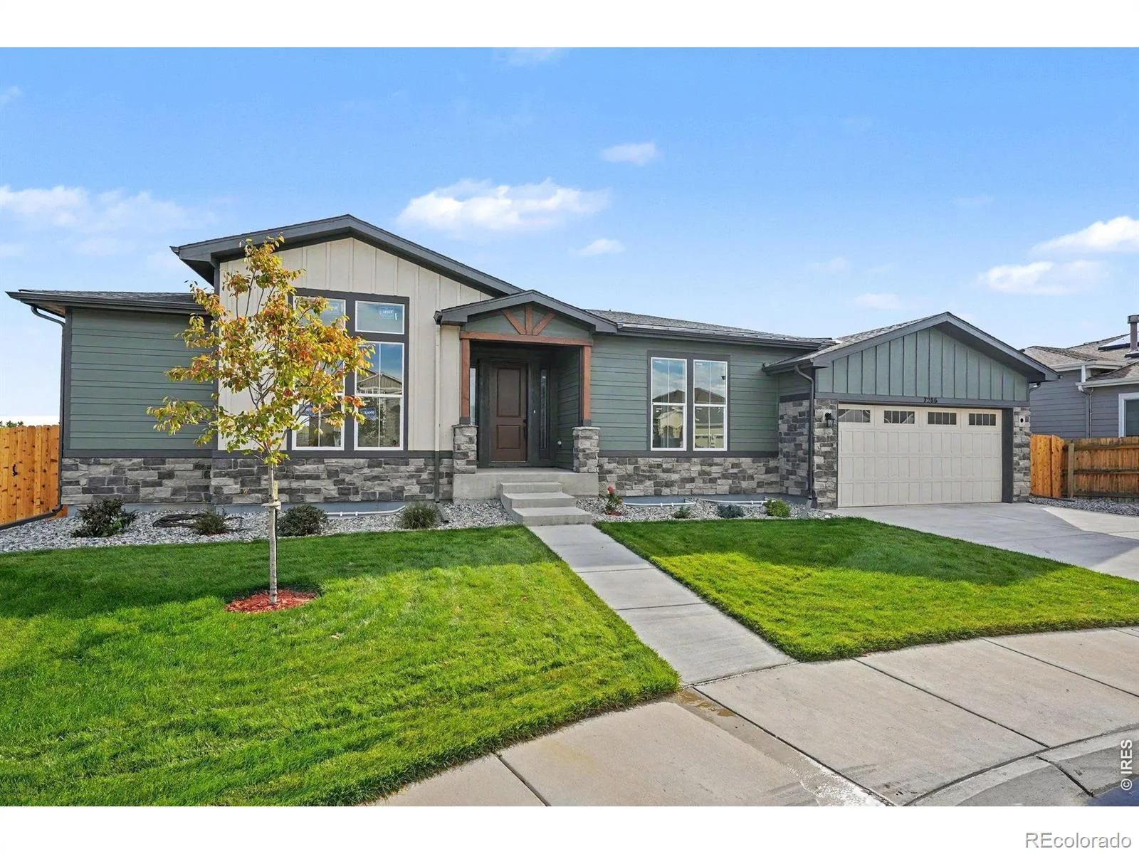 7286 Xenophon Court Arvada CO 80005 | MLS #4442552 10202026041235 1600 2