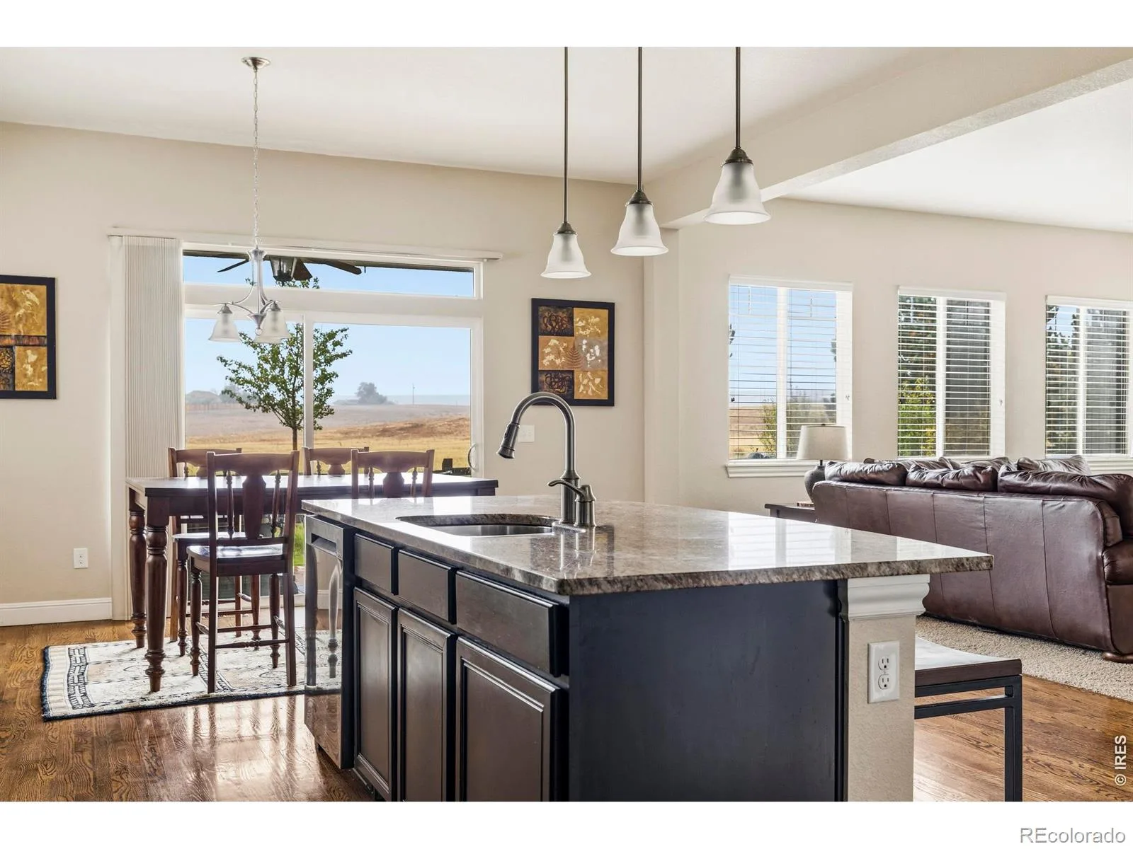 14236 W 90th Place Arvada CO 80005 | MLS #IR1070744 10202026034436 1600 9