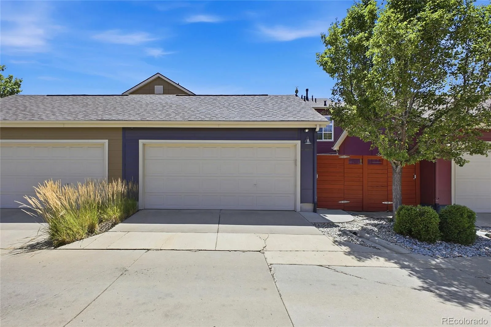 10065 Martin Luther King Boulevard Denver CO 80238 | MLS #REC1509153 07302026125710 1600 33