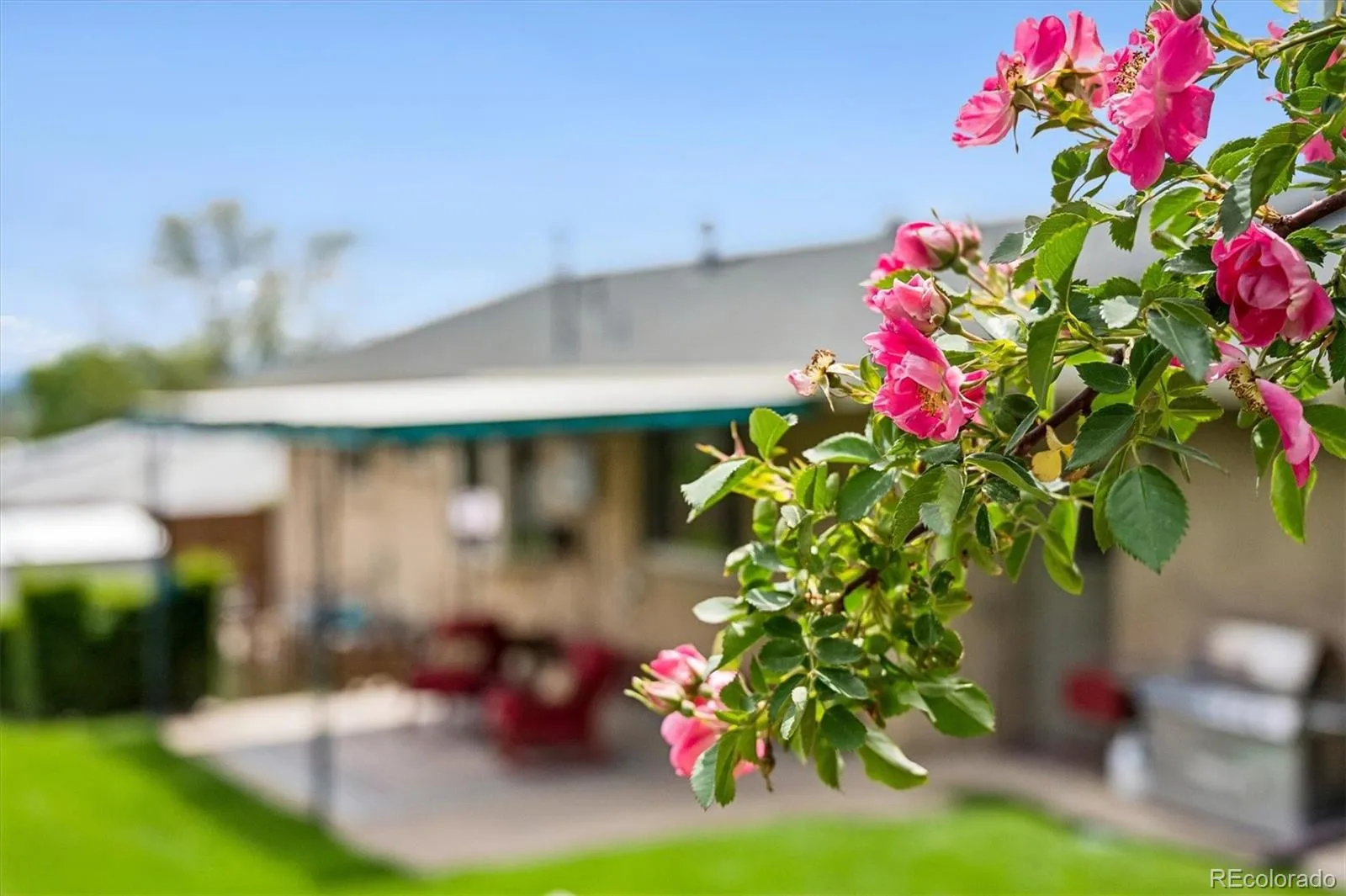 2712 S Vrain Street Denver CO 80236 MLS #REC1515580 05232026092853 1600 29