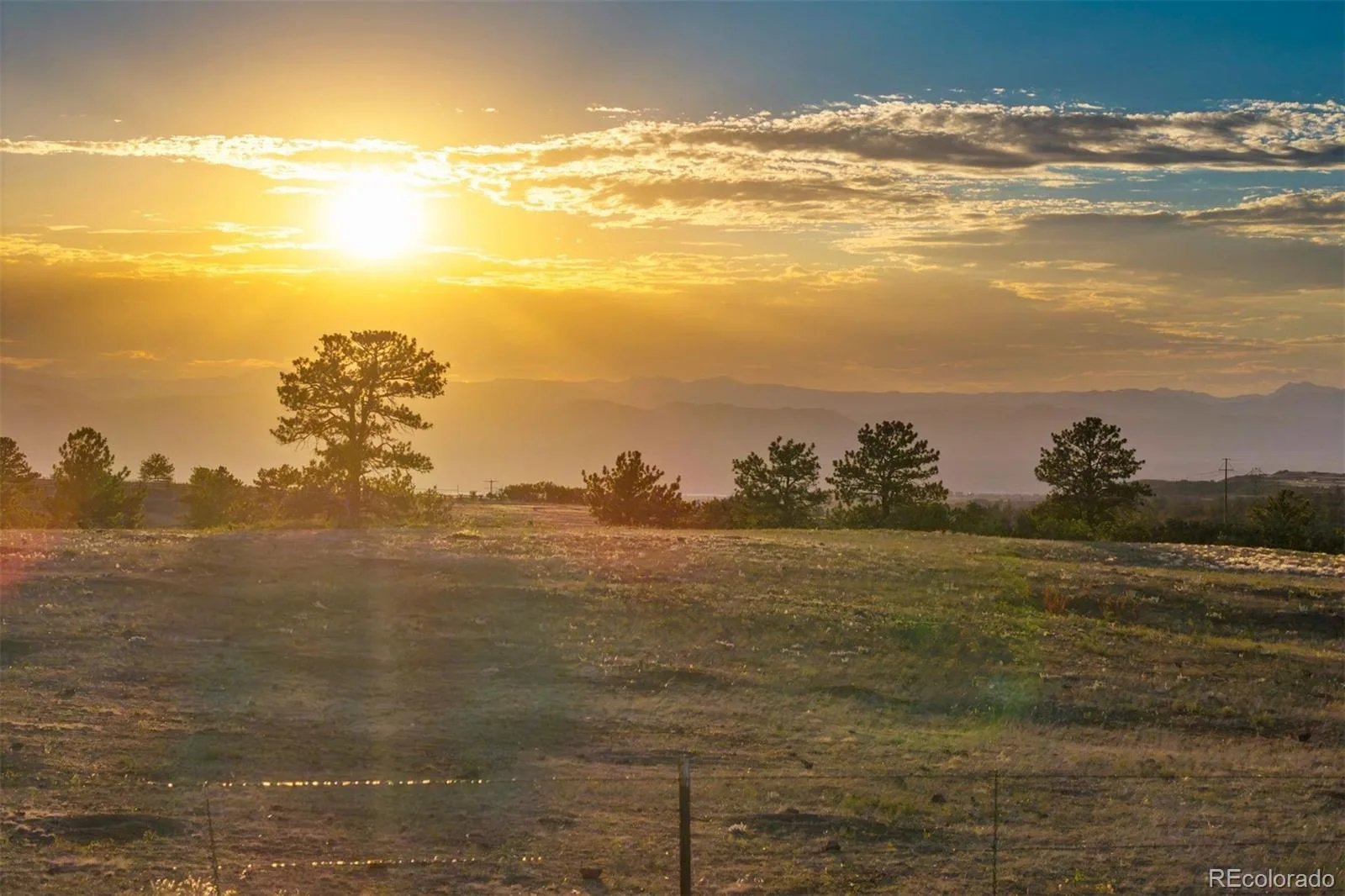 5700 Amber Ridge Drive Castle Pines CO 80108 | MLS #REC1517982 08282026163528 1600 40