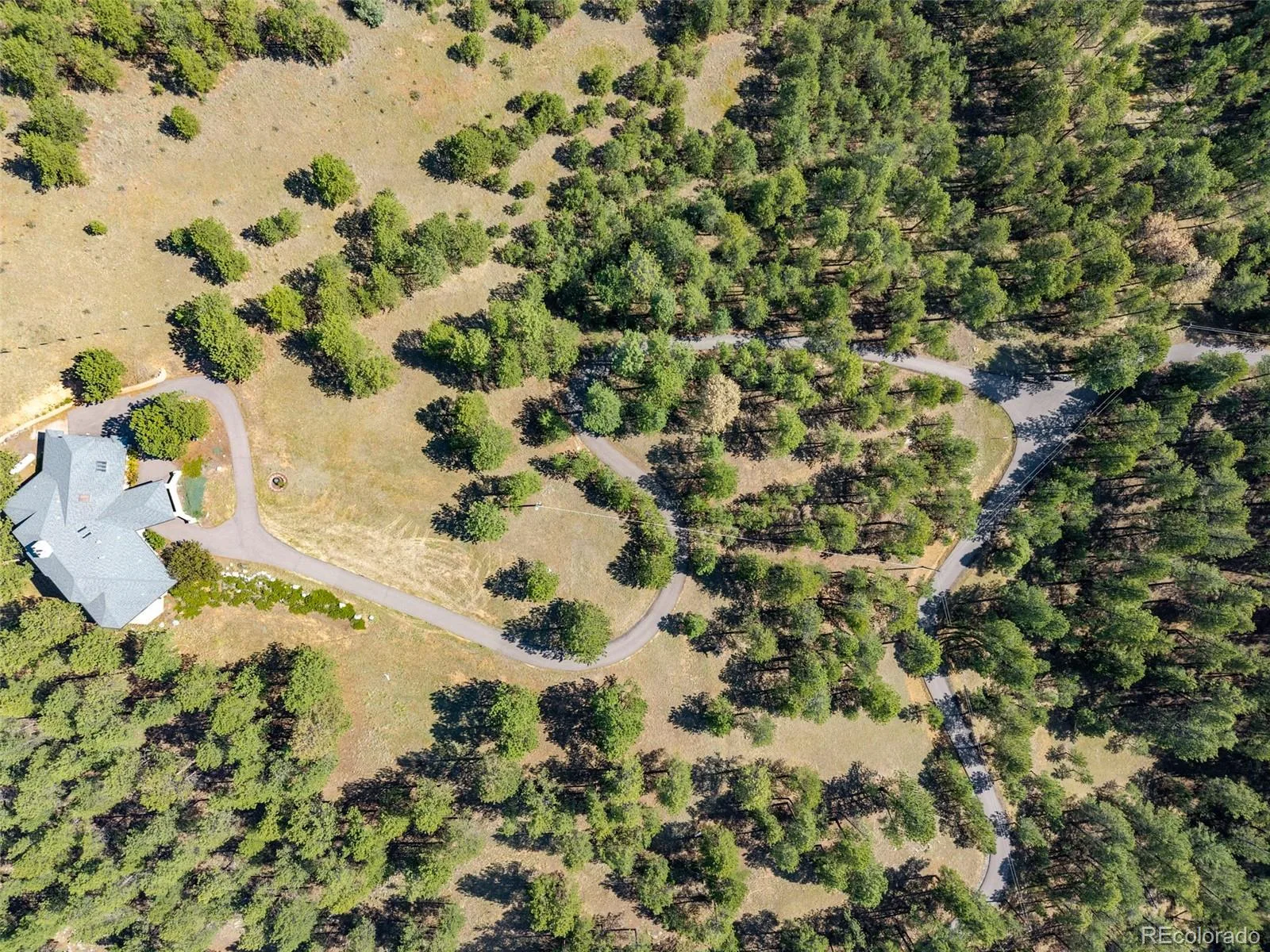 2828 Quartz Ridge Road Evergreen CO 80439 | MLS #REC1521208 08182026223120 1600 43