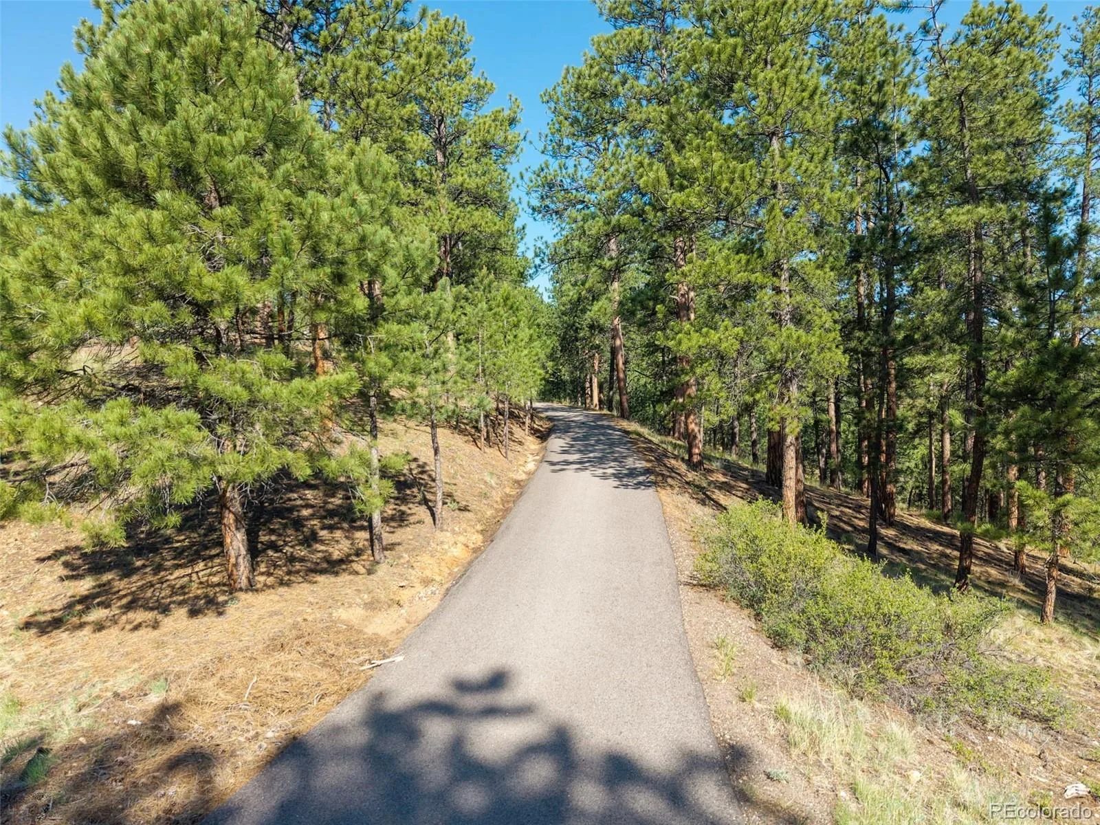 2828 Quartz Ridge Road Evergreen CO 80439 | MLS #REC1521208 08182026223120 1600 44