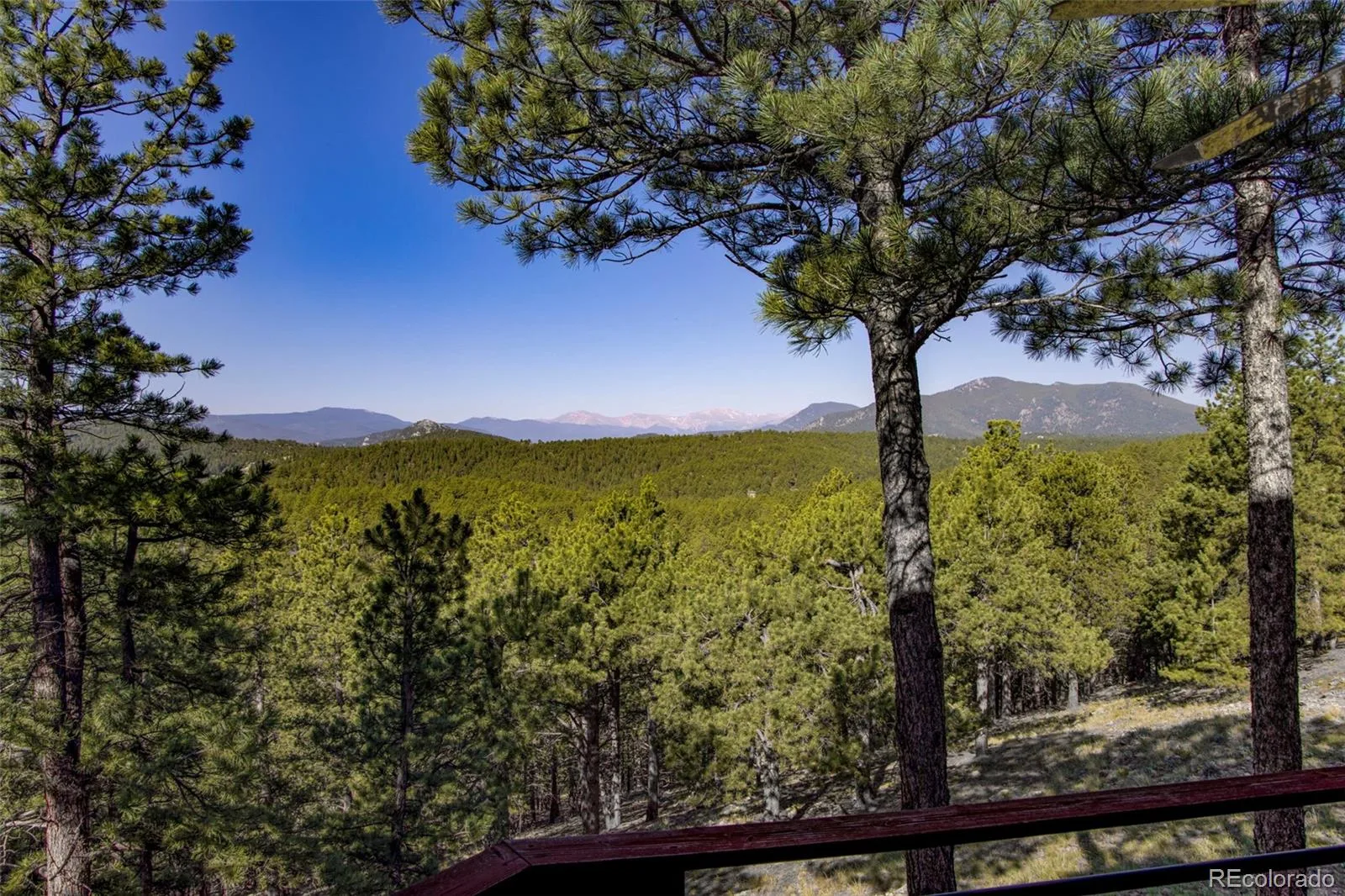2828 Quartz Ridge Road Evergreen CO 80439 | MLS #REC1521208 08182026223120 1600 9