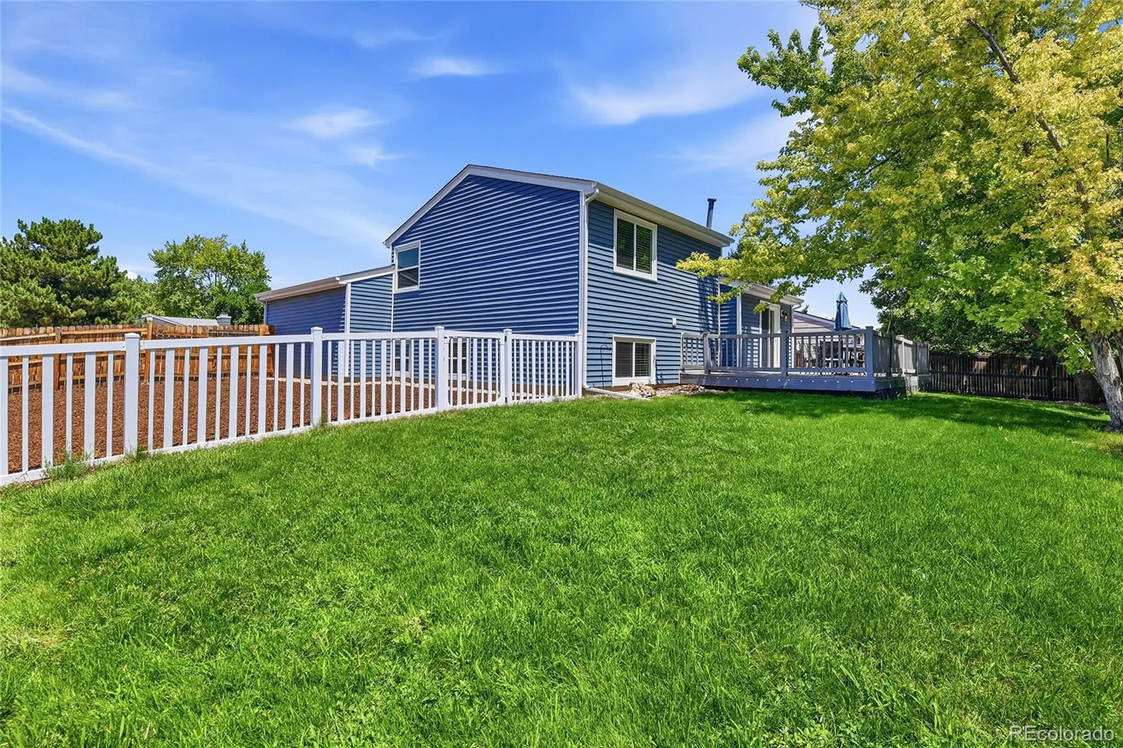4842 S Hoyt Street Littleton CO 80123 | MLS #REC1524846 07172026193506 1600 24