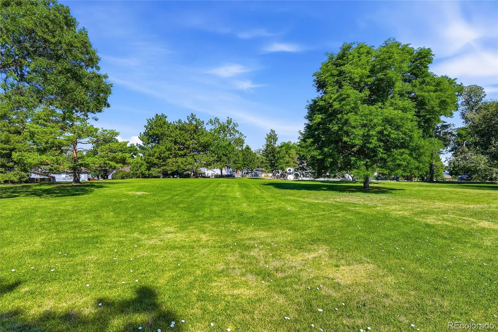 4842 S Hoyt Street Littleton CO 80123 | MLS #REC1524846 07172026193506 1600 25