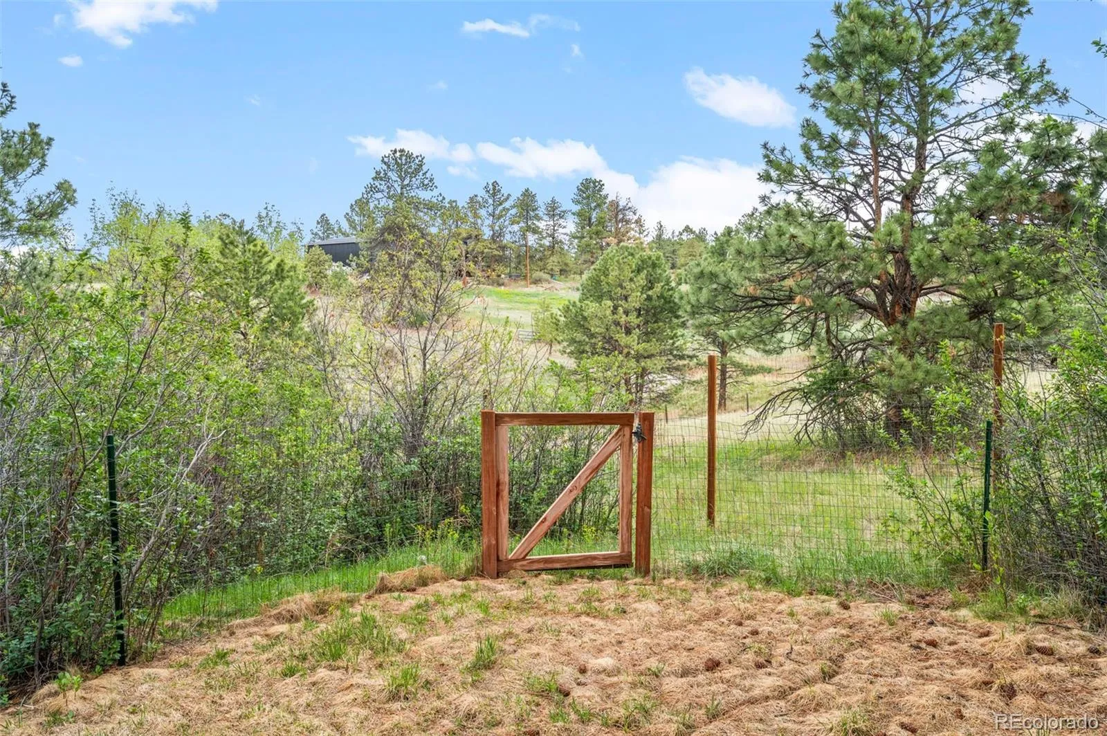 6601 S Trailway Circle Parker CO 80134 MLS #REC1534101 05232026091939 1600 38