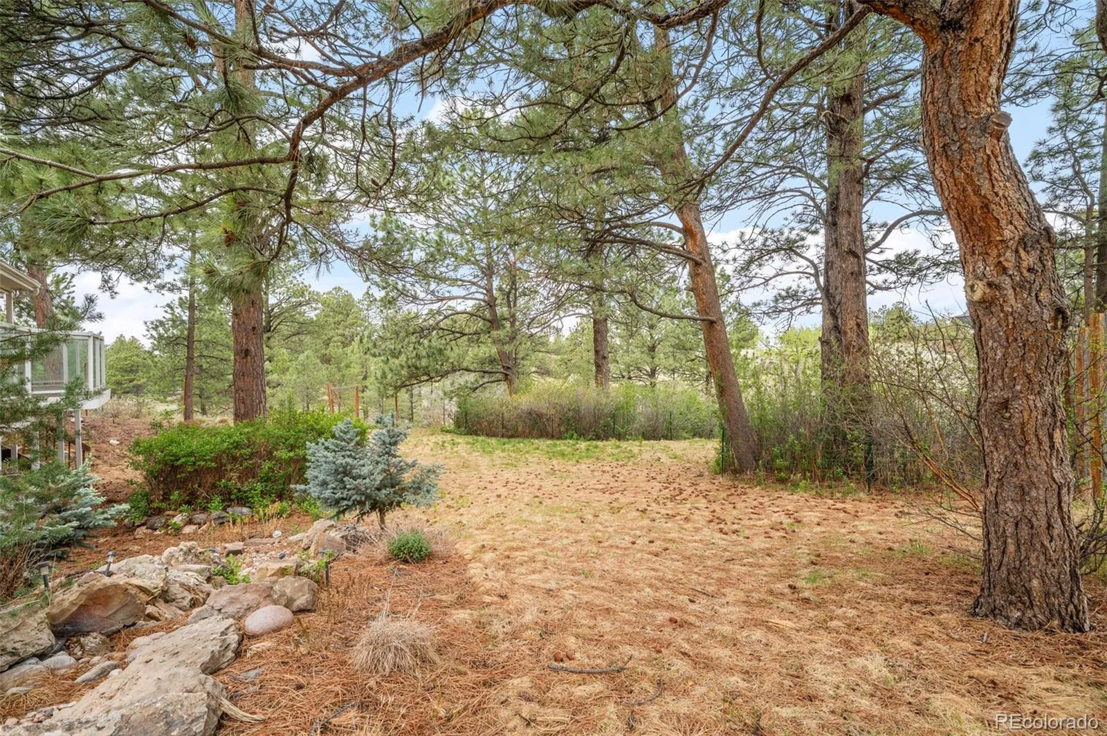 6601 S Trailway Circle Parker CO 80134 MLS #REC1534101 05232026091939 1600 40