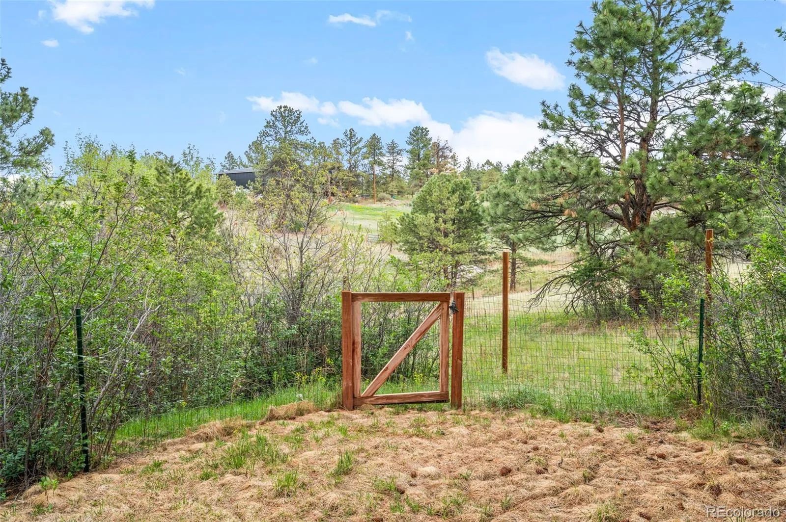 6601 S Trailway Circle Parker CO 80134 MLS #REC1534101 06242026224137 1600 38