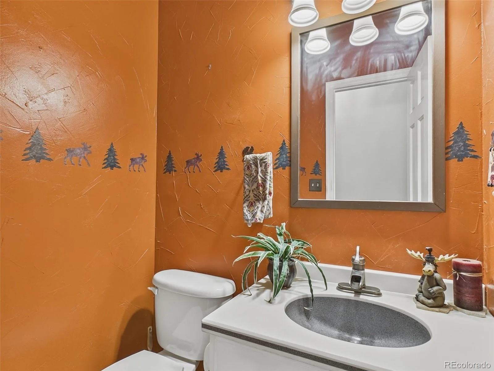 4685 S Raleigh Street Denver CO 80236 MLS #REC1536635 07152026024307 1600 5