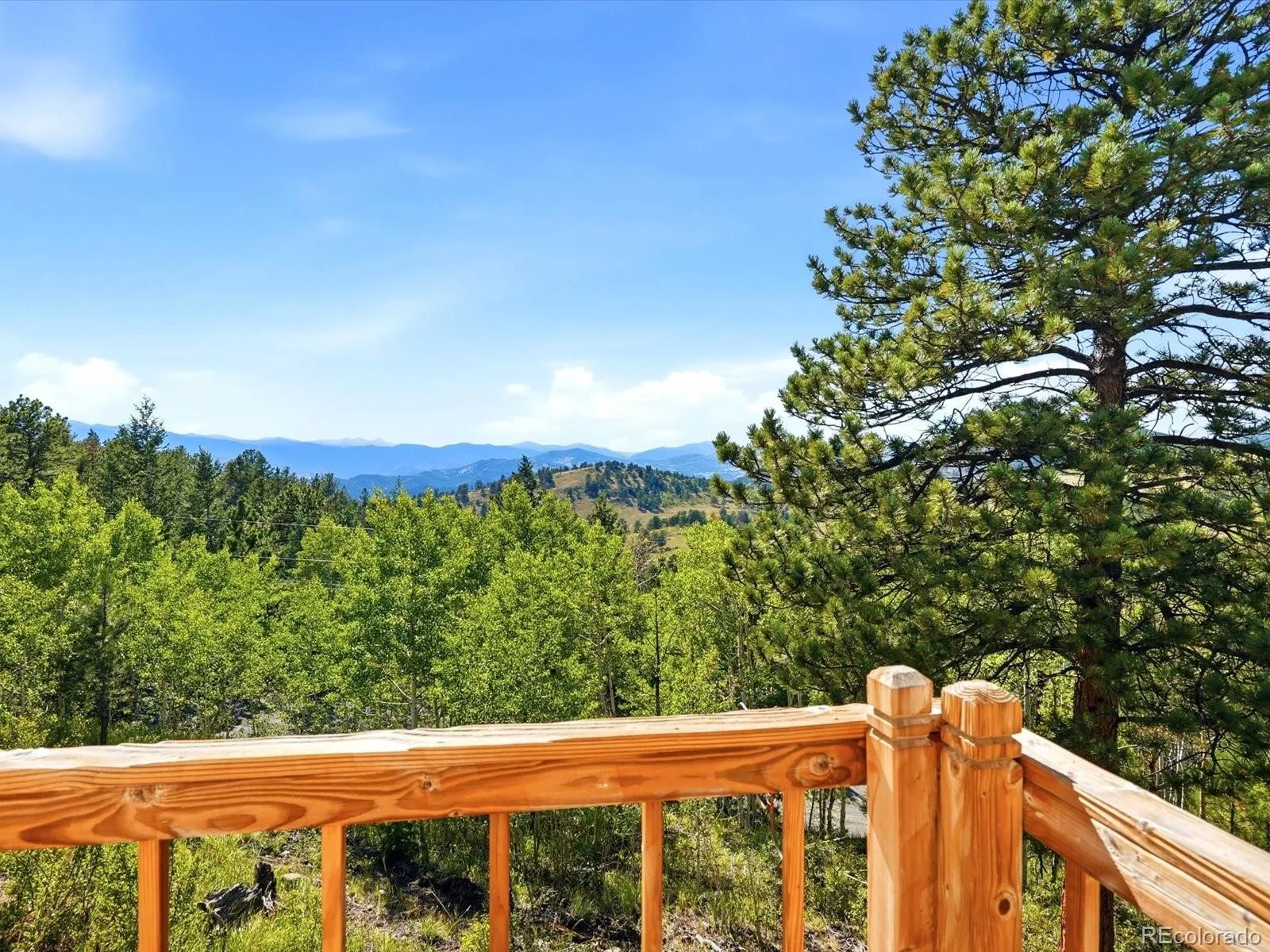 200 Raptor Point Road Golden CO 80403 | MLS #REC1543008 08232026201451 1600 2