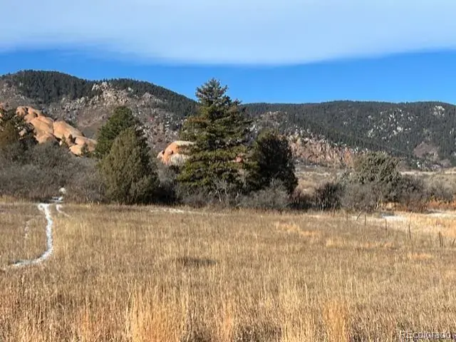 6009 St Andrews Court Larkspur CO 80118 | MLS #REC1554987 02012026203317 640 5