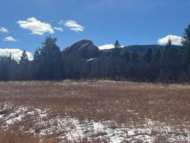 6009 St Andrews Court Larkspur CO 80118 | MLS #REC1554987 02012026203317 640 7
