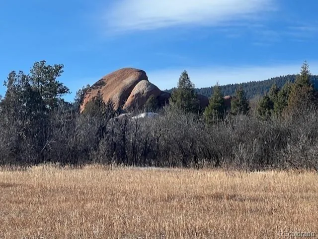 6009 St Andrews Court Larkspur CO 80118 | MLS #REC1554987 10072026164614 640 1