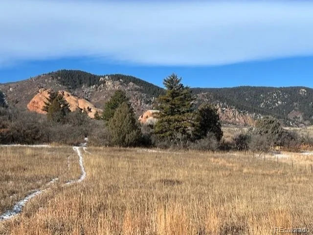 6009 St Andrews Court Larkspur CO 80118 | MLS #REC1554987 10072026164614 640 2
