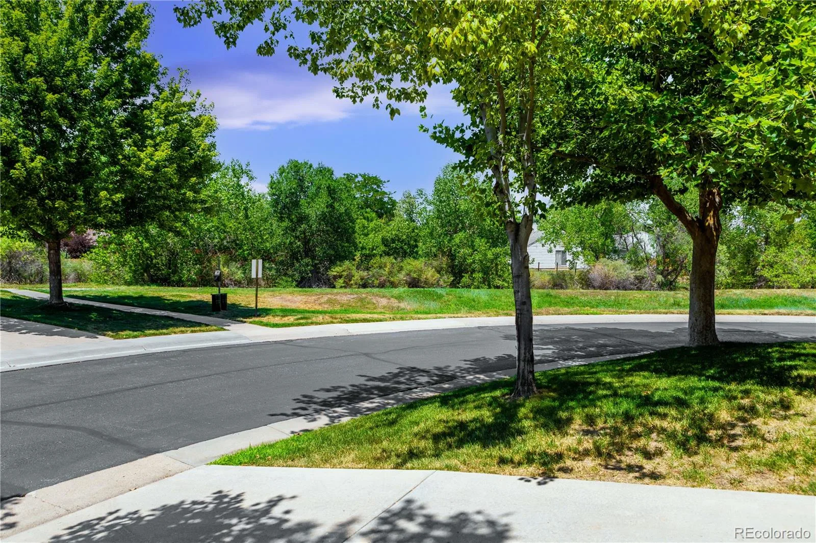 11846 W Stanford Place Morrison CO 80465 | MLS #REC1555348 08112026000534 1600 20