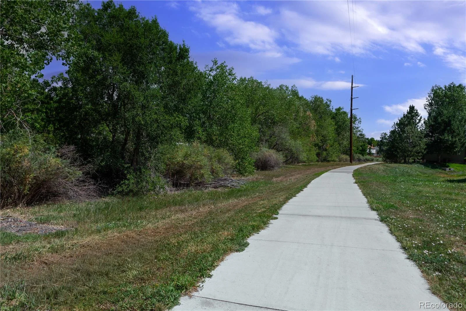 11846 W Stanford Place Morrison CO 80465 | MLS #REC1555348 08112026000534 1600 21