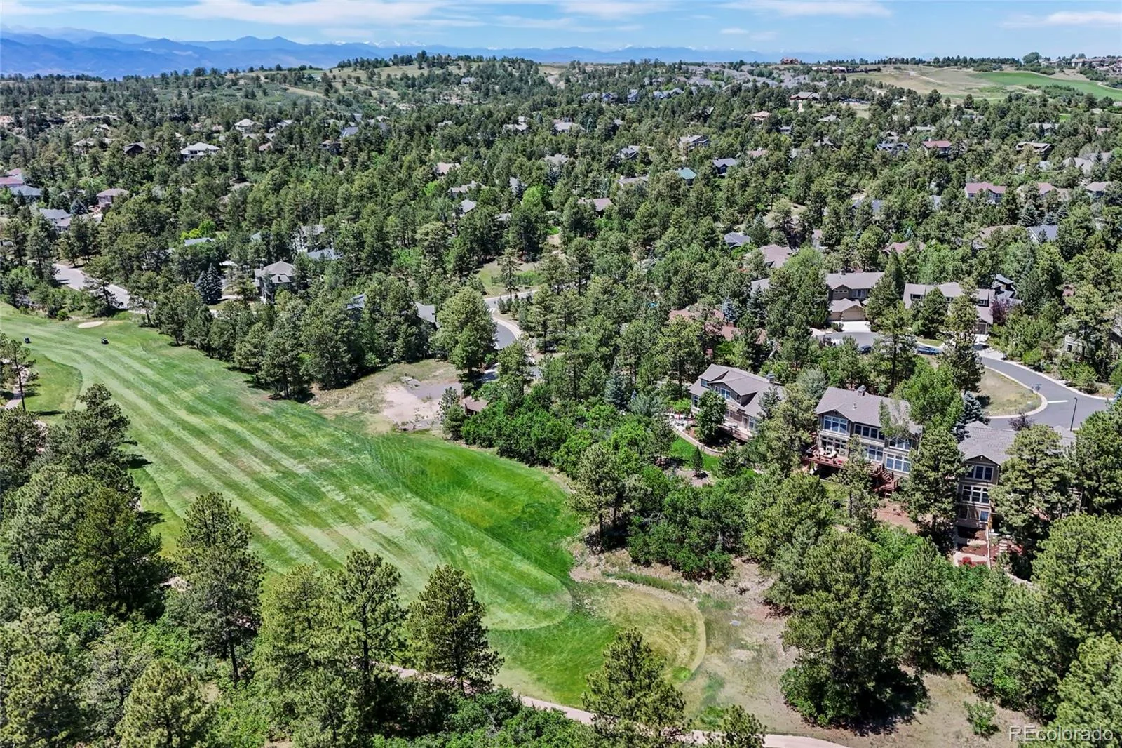 7018 Forest Ridge Circle Castle Pines CO 80108 MLS #REC1558276 06182026193653 1600 48