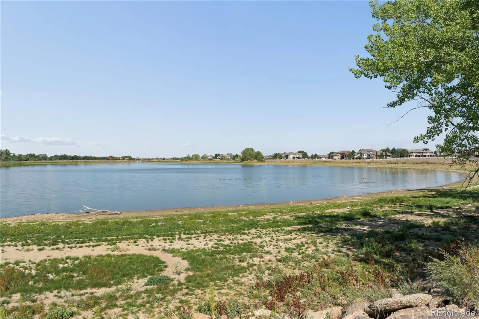 13257 Vallejo Court Westminster CO 80234 | MLS #REC1569360 08212026162904 1600 40