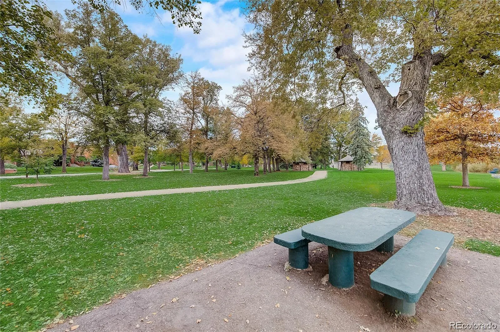 4559 Irving Street Denver CO 80211 MLS #REC1574820 05142026180900 1600 31
