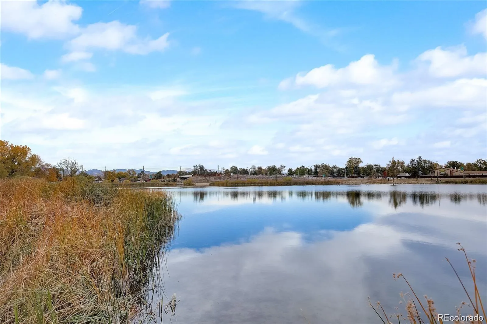 4559 Irving Street Denver CO 80211 MLS #REC1574820 05142026180900 1600 32