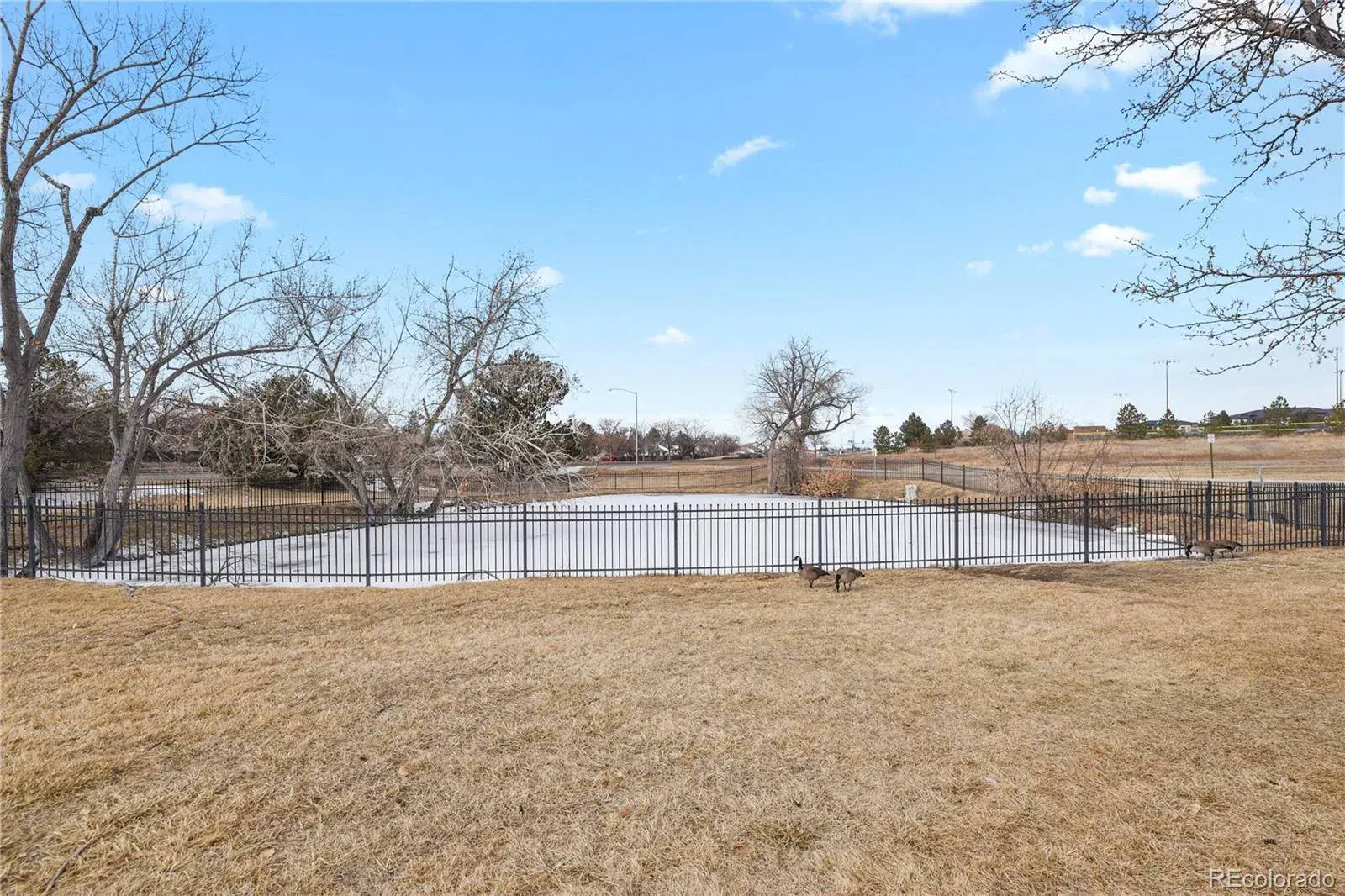 17034 E Tennessee Drive #106 Aurora CO 80017 MLS #REC1575467 01132026231658 1600 17