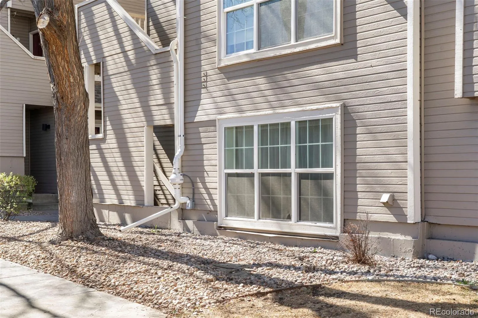 5702 W Asbury Place #102 Lakewood CO 80227 | MLS #REC1581261 05052026034402 1600 18