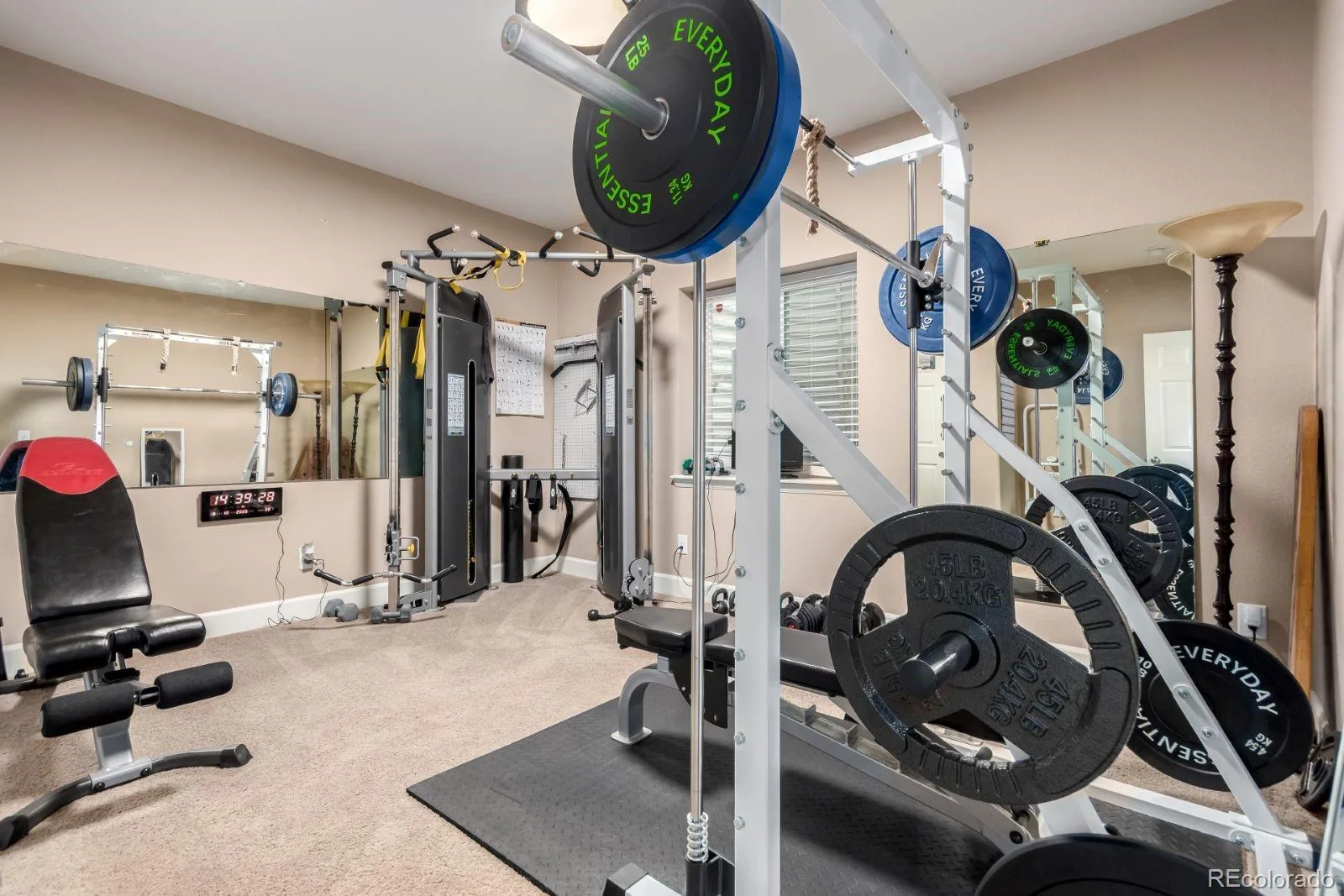 7132 Bandit Drive Castle Rock CO 80108 | MLS #REC1583409 07312026013548 1600 40